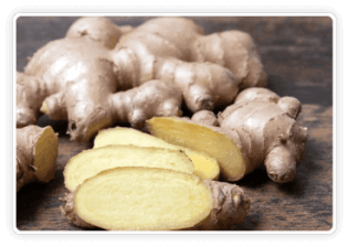 CitrusBurn Ingredients Himalayan-Mountain-Ginger