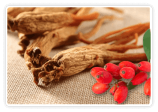 CitrusBurn Ingredients Berberine-Korean-Red-Ginseng