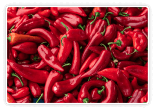 CitrusBurn Ingredients Andalusian-Red-Pepper